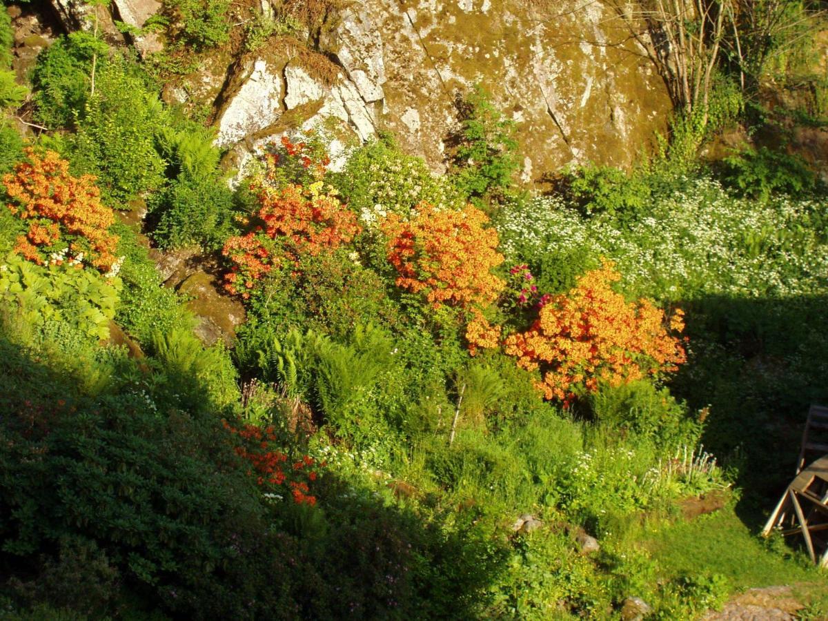 Brunstorpsgard Braenneriet Villa Huskvarna Oda fotoğraf