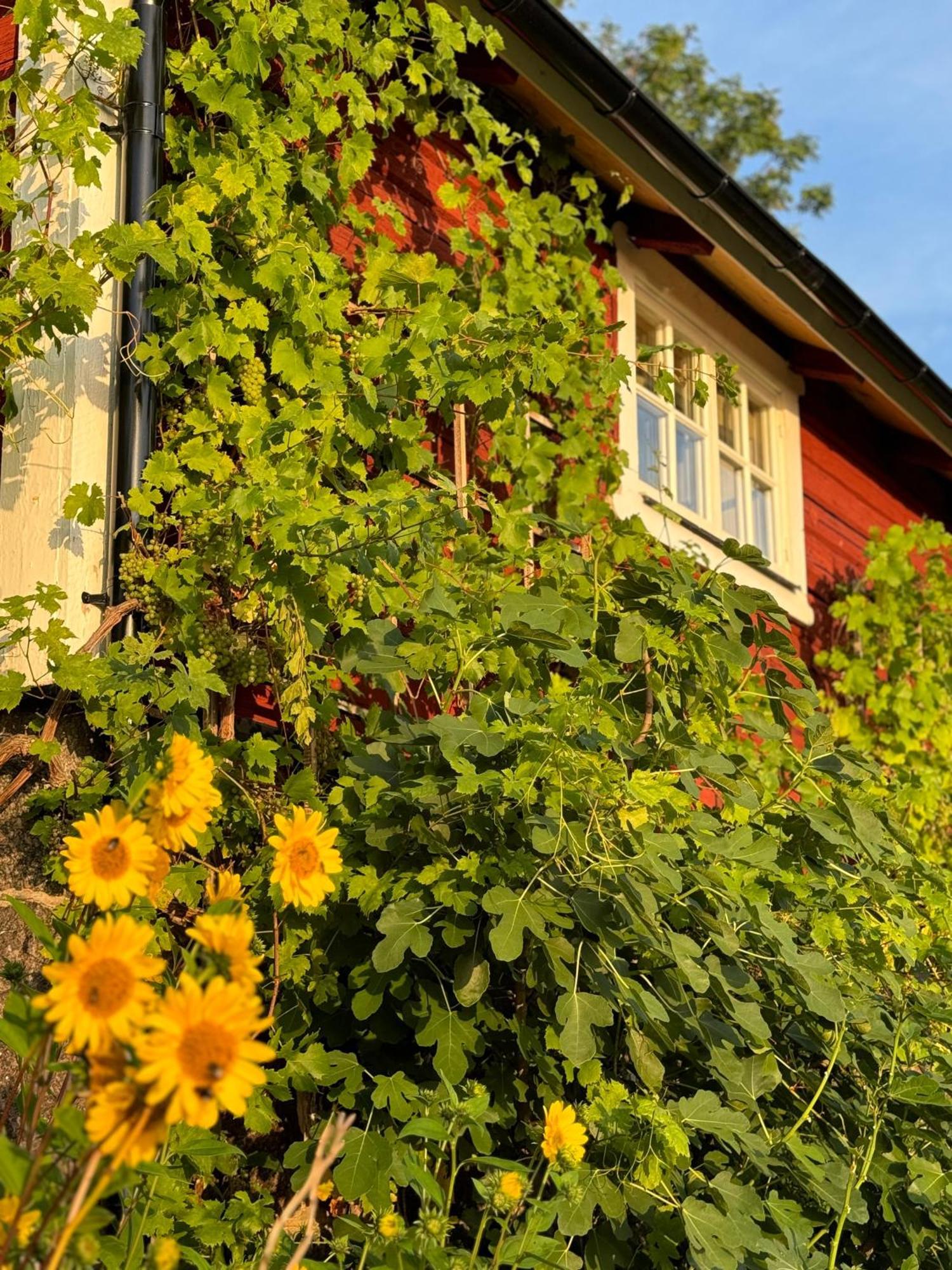 Brunstorpsgard Braenneriet Villa Huskvarna Dış mekan fotoğraf
